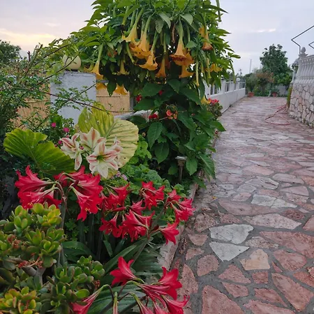Elisabet Seaside Appartement *